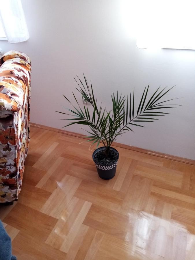 Apartman Maca 皮罗特 外观 照片